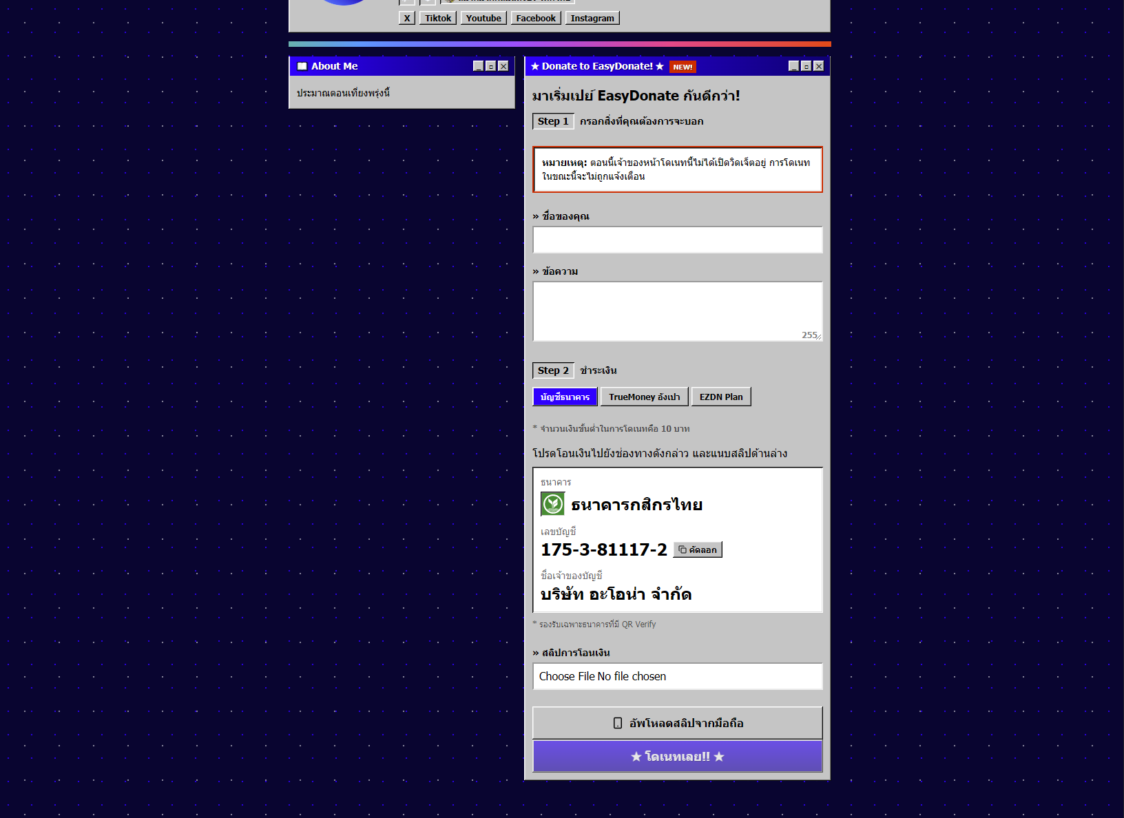 donate_page_Y2K_2